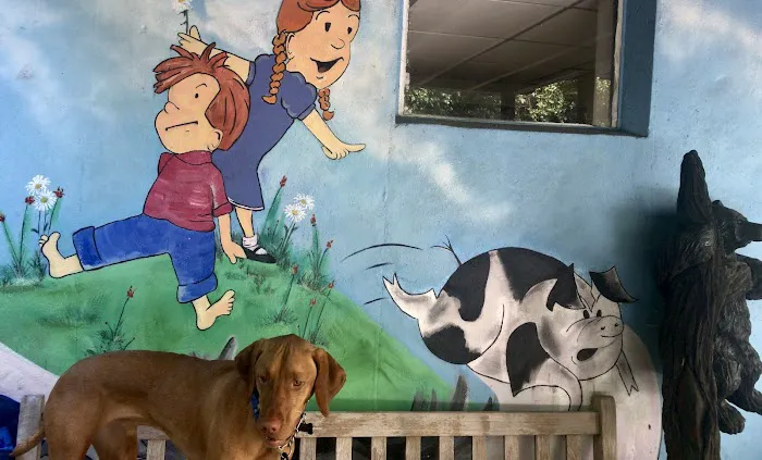 Del Ray Animal Hospital 1