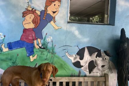 Del Ray Animal Hospital