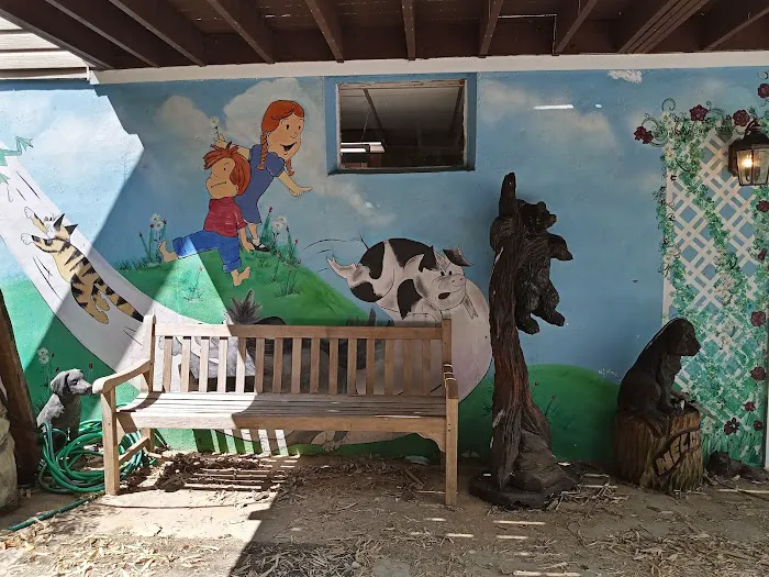 Del Ray Animal Hospital 4