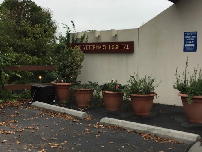 Alpine Veterinary Hospital 12