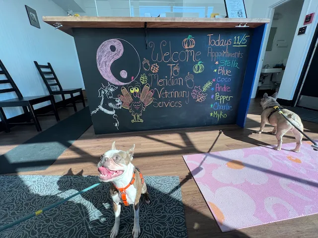 Meridian Veterinary Services 2