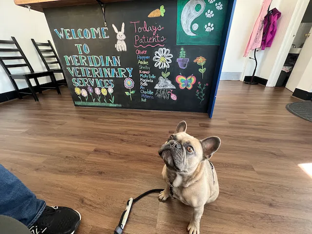 Meridian Veterinary Services 3