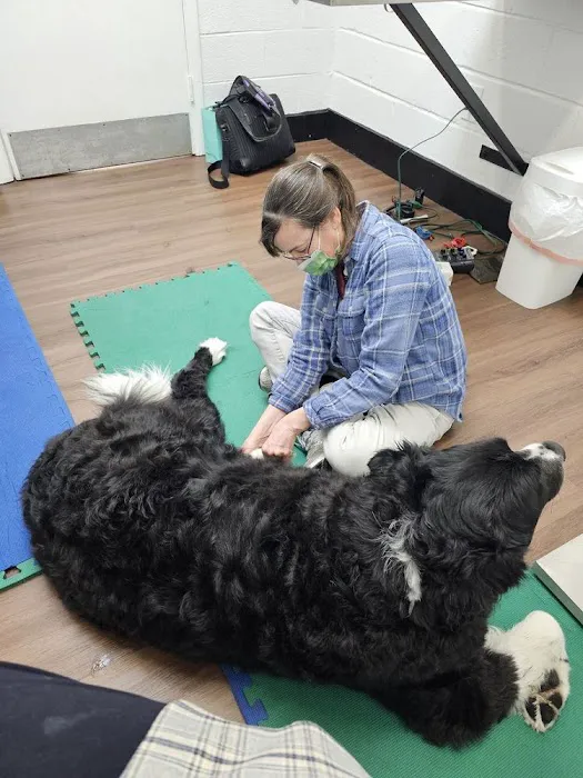 Meridian Veterinary Services 8
