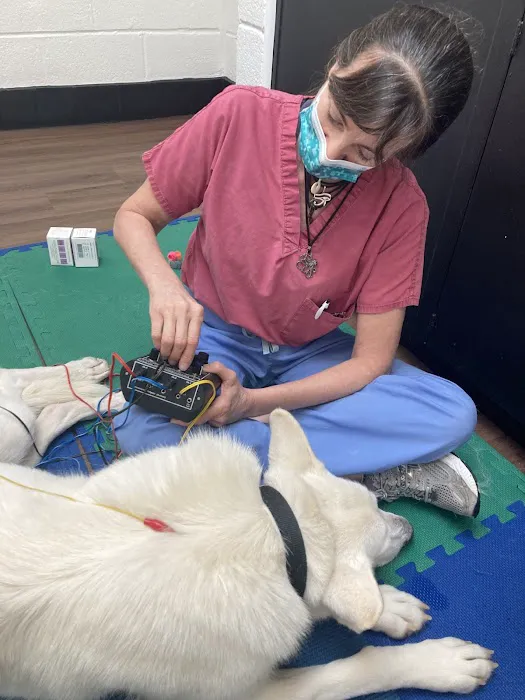 Meridian Veterinary Services 10