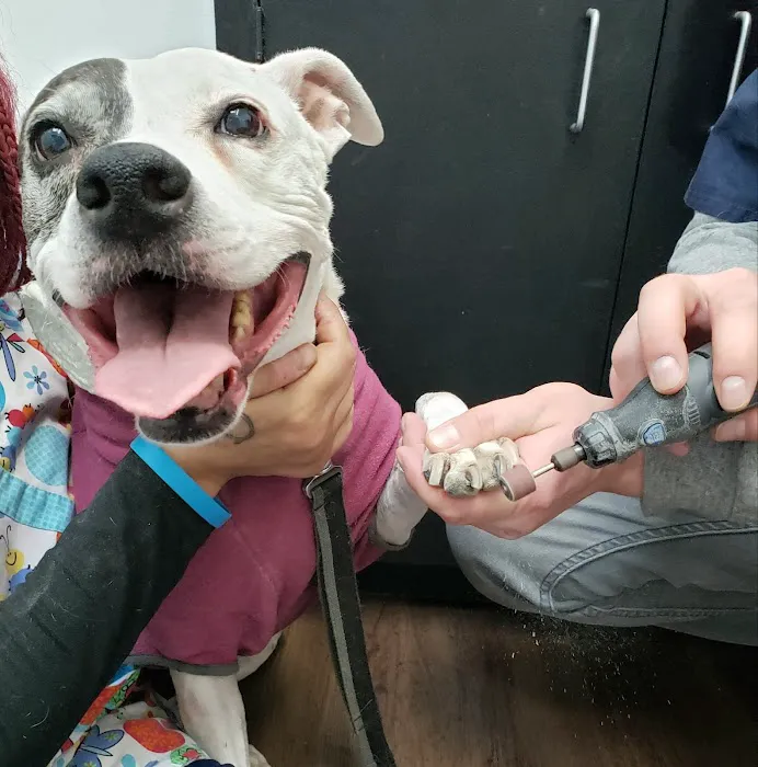 Meridian Veterinary Services 6
