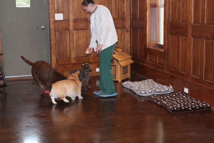 Hometown Veterinary Clinic 12