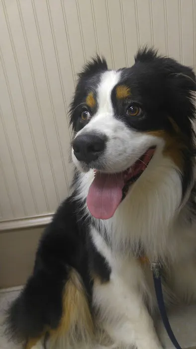 Hometown Veterinary Clinic 12