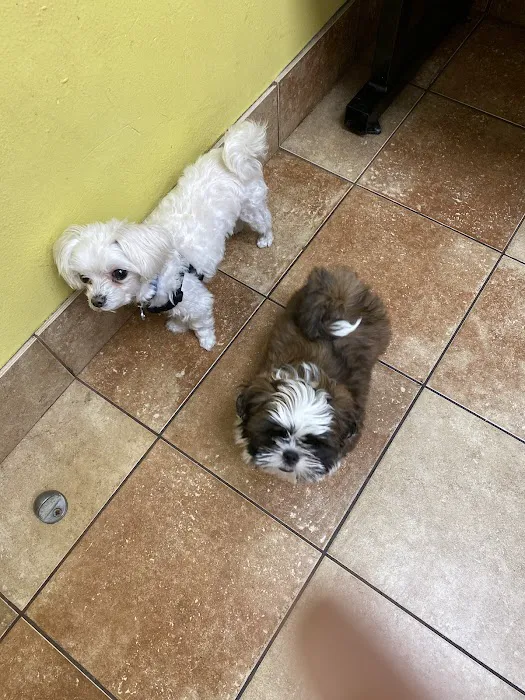 Banfield Pet Hospital 12