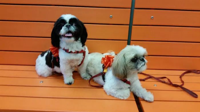 Banfield Pet Hospital 12