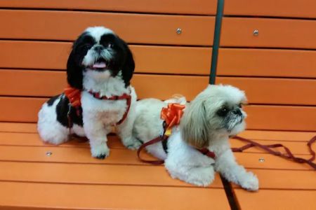 Banfield Pet Hospital