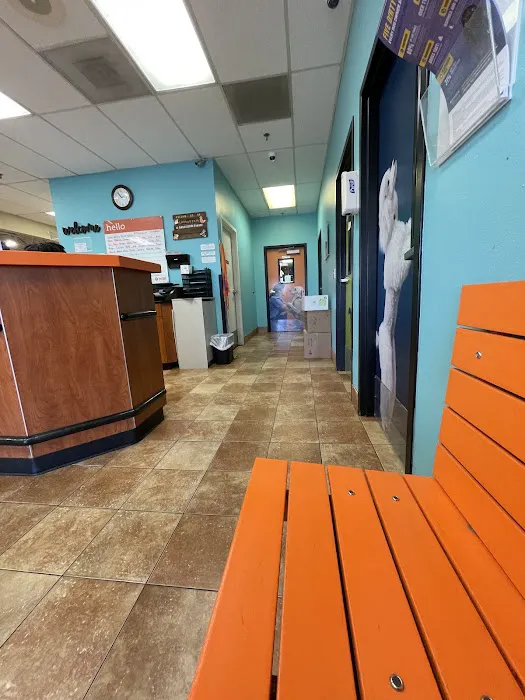 Banfield Pet Hospital 12