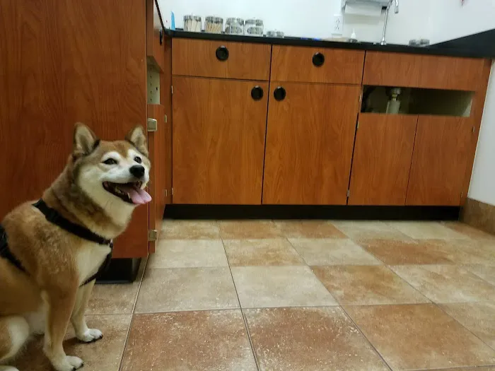 Banfield Pet Hospital 12