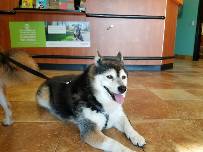 Banfield Pet Hospital 12