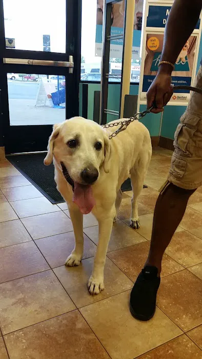Banfield Pet Hospital 12