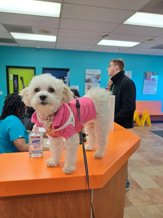 Banfield Pet Hospital 12