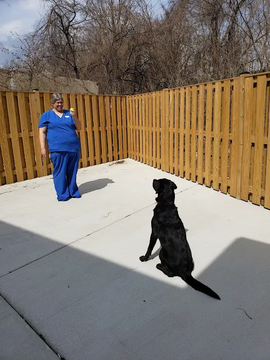 Del Ray Animal Hospital 4