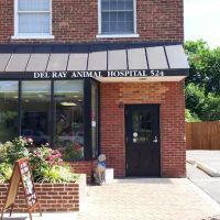 Del Ray Animal Hospital ico