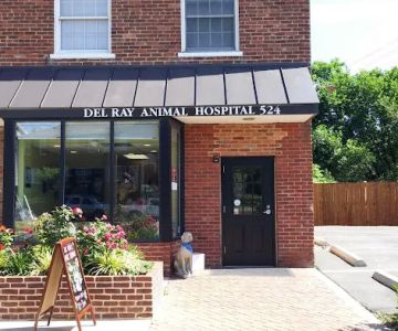 Del Ray Animal Hospital