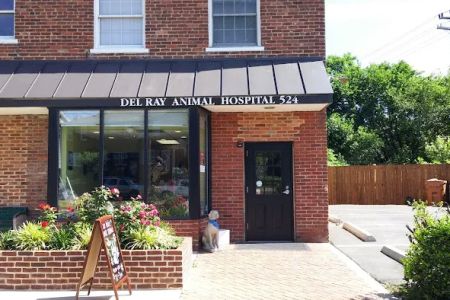 Del Ray Animal Hospital