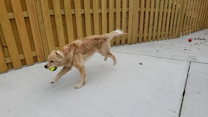 Del Ray Animal Hospital 5