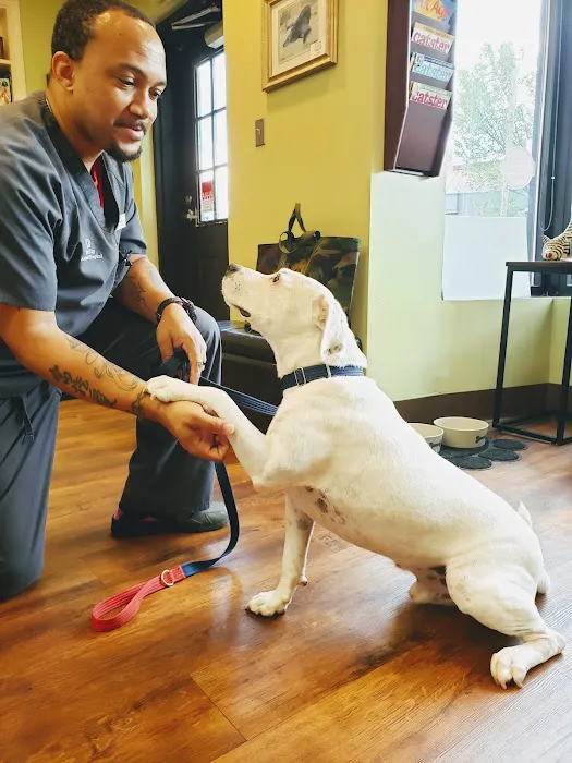 Del Ray Animal Hospital 8