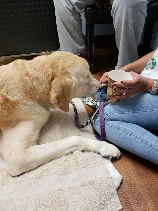 Del Ray Animal Hospital 10