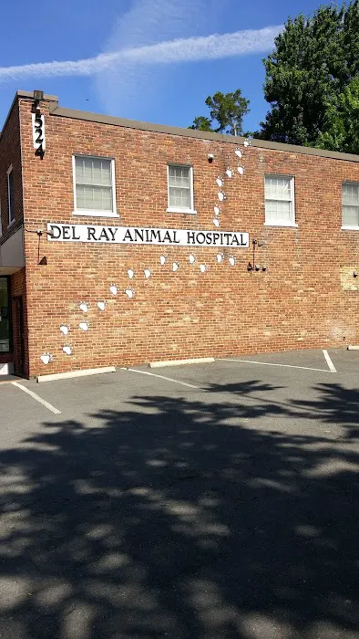 Del Ray Animal Hospital 6