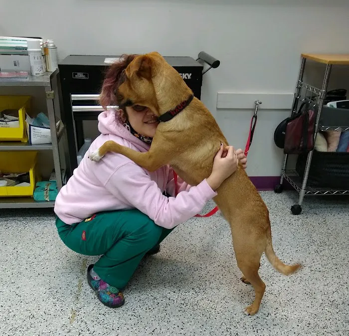 Fairfax Animal Hospital 10