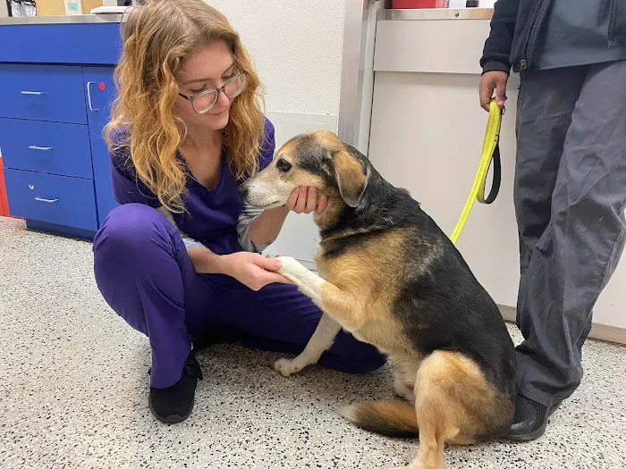 Fairfax Animal Hospital 3