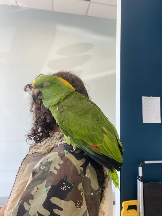 Fairfax Animal Hospital 8