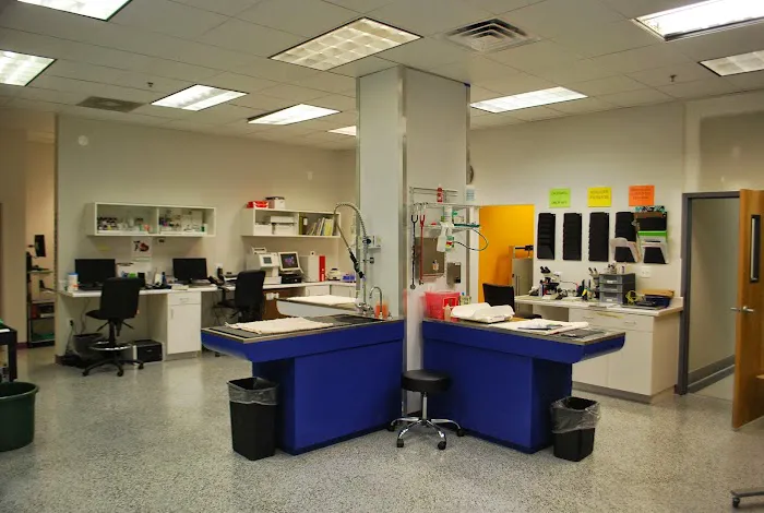 Fairfax Animal Hospital 1