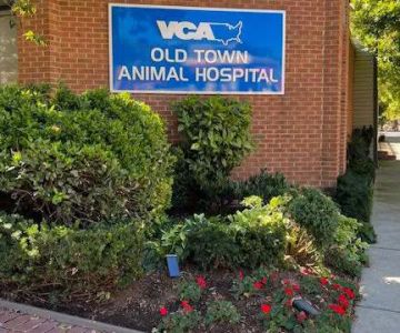 VCA Old Town Animal Hospital