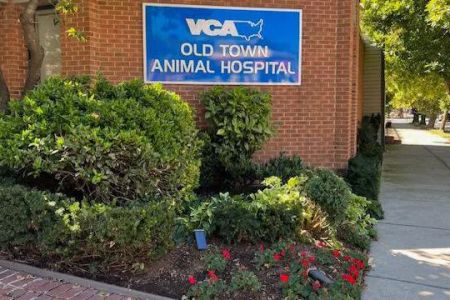 VCA Old Town Animal Hospital