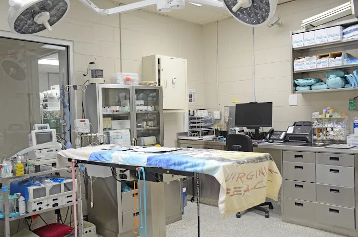 Suburban Animal Hospital 12