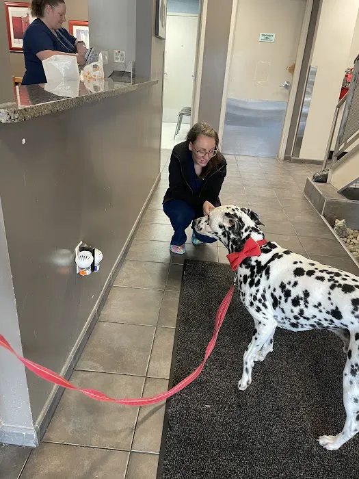 Suburban Animal Hospital 12
