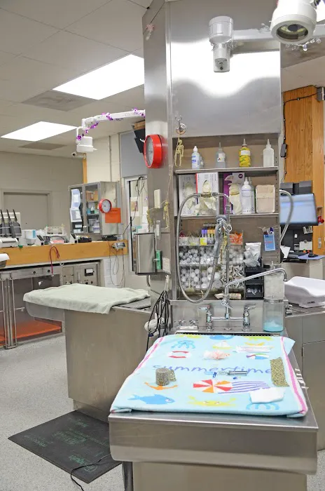 Suburban Animal Hospital 12