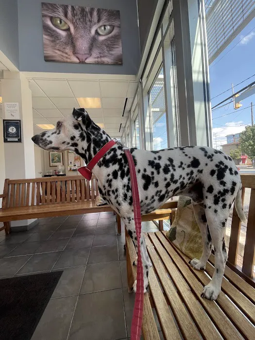 Suburban Animal Hospital 12