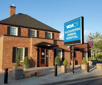 VCA Alexandria Animal Hospital
