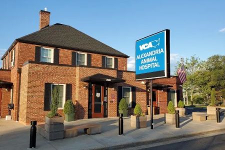 VCA Alexandria Animal Hospital