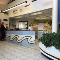 Belle Haven Animal Medical Centre ico