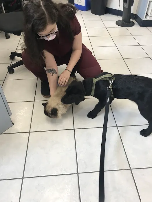 Belle Haven Animal Medical Centre 3