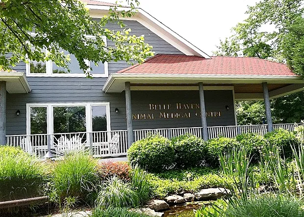 Belle Haven Animal Medical Centre 4