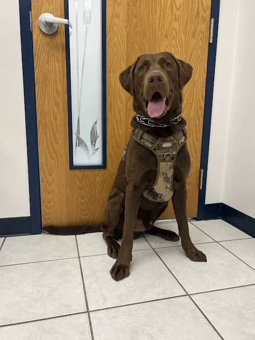 Belle Haven Animal Medical Centre 7