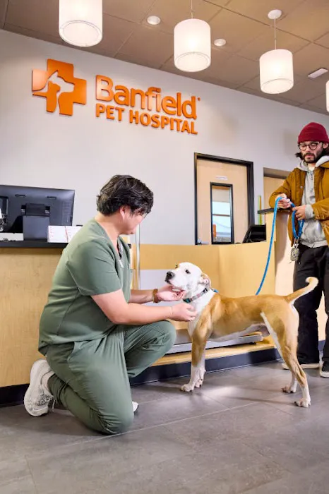 Banfield Pet Hospital 12
