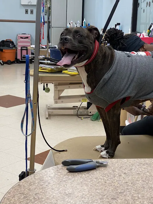 Banfield Pet Hospital 12