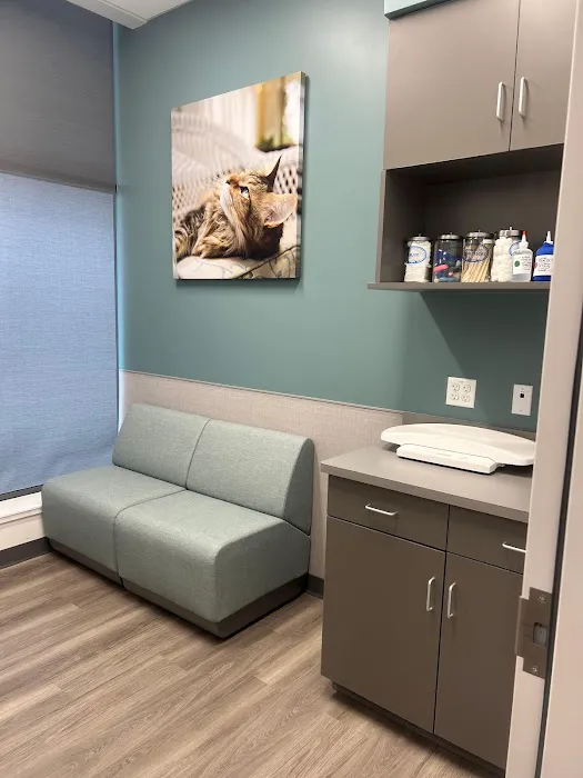VCA Town Center Animal Hospital 3