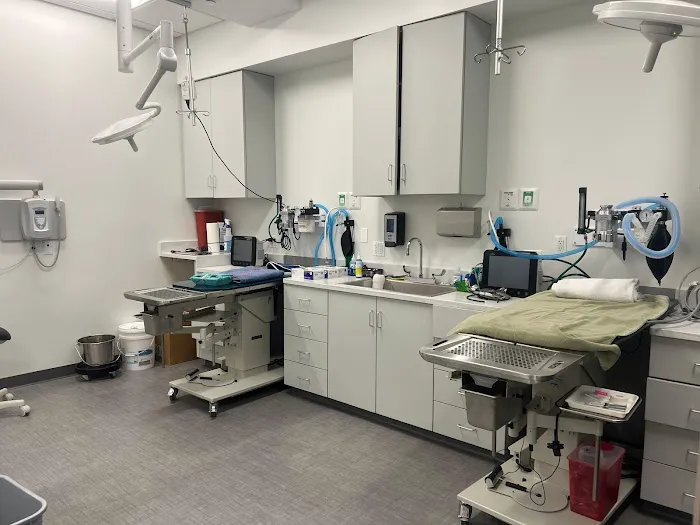 VCA Town Center Animal Hospital 2