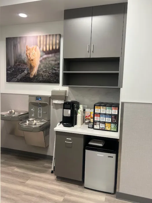 VCA Town Center Animal Hospital 1
