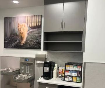 VCA Town Center Animal Hospital