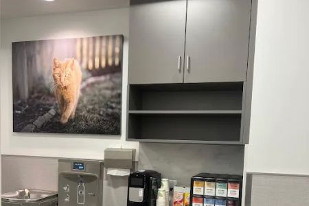VCA Town Center Animal Hospital